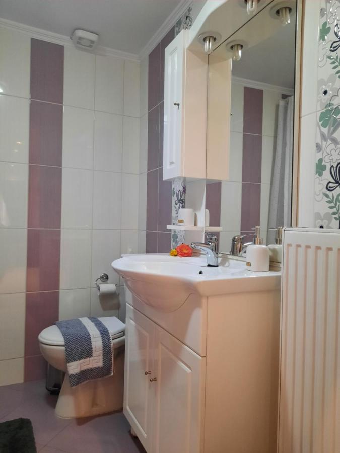 Pavlos Apartment 干尼亞 外观 照片